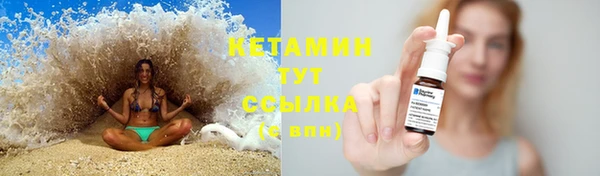 прущие грибы Армянск