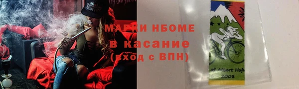 прущие грибы Армянск