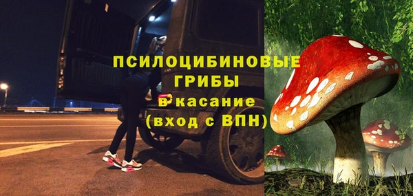 прущие грибы Армянск
