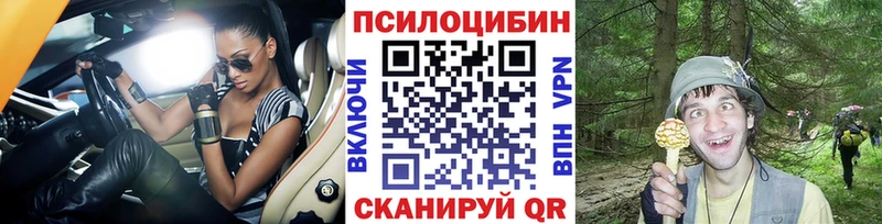 хочу наркоту Пугачёв Псилоцибиновые грибы Cubensis